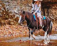 trail-riding-pony