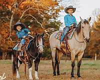 pinto-athletic-pony