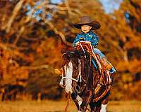 beginner-pony