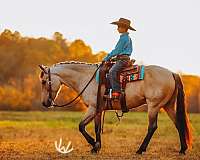 athletic-quarter-pony