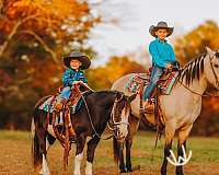 barrel-racing-quarter-pony