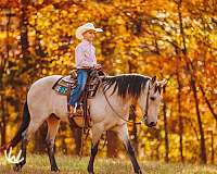 companion-quarter-pony