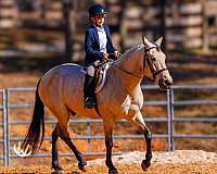 flashy-quarter-pony