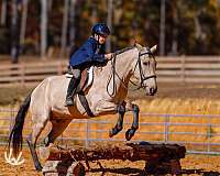 kid-safe-quarter-pony