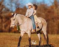 ranch-quarter-pony