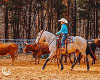 ridden-english-quarter-pony