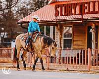roping-quarter-pony