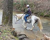 racking-horse