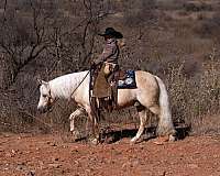 beginner-quarter-pony
