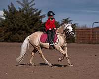 flashy-quarter-pony