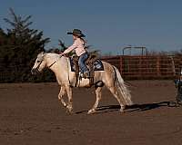 kid-safe-quarter-pony