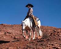 trail-riding-quarter-pony