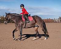 roping-quarter-horse
