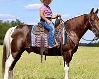 overo-therapy-horse