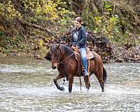 athletic-pony