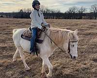 pony-mare