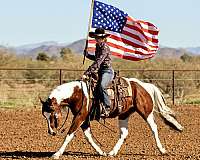 safe-horse-paint