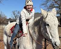 all-around-draft-horse