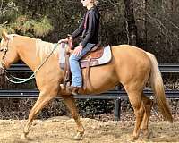 and-easy-to-handle-quarter-horse