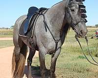can-move-mare