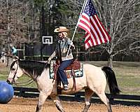 flashy-quarter-horse