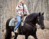 black-none-horse