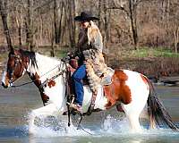 tovero-team-penning-horse
