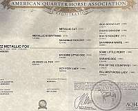 ranch-versatility-quarter-horse