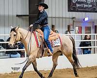 ranch-riding-prospect-quarter-horse
