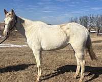 rode-mare