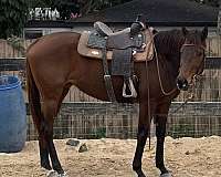 beginner-heading-mare