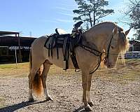 black-double-pearl-horse