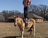 overo-cowboy-mounted-shooting-pony