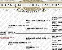 buckskin-roan-colt