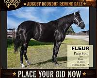 flemingsburg-horse