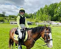 cross-pony