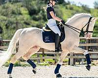 prix-san-george-stallion