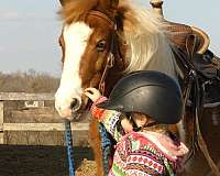 husband-safe-pony