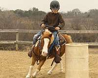 jumping-pony