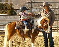 kid-safe-pony