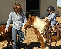 playday-pony