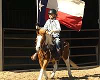 ridden-western-pony