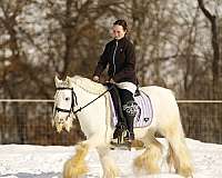 beginner-quarter-pony