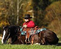 flashy-quarter-horse