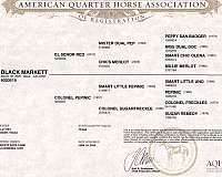 ranch-work-quarter-horse