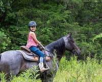 family-horse-tennessee-walking