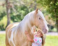 hunting-tennessee-walking-horse
