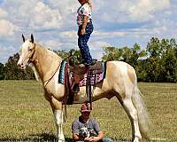 gun-safe-horse-tennessee-walking