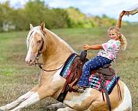 kid-friendly-horse-tennessee-walking