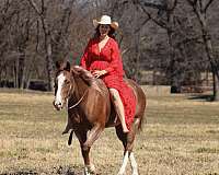 ranch-versatility-quarter-horse